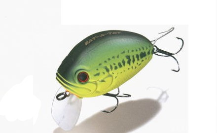 Shallow Crankbait Evergreen Crazy Cradle RAT-A-TA