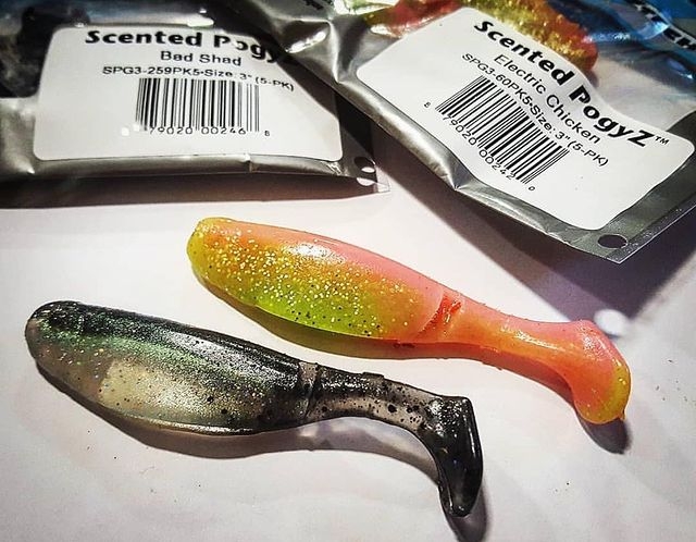 Soft Shad Z-Man Scented Pogyz 3"