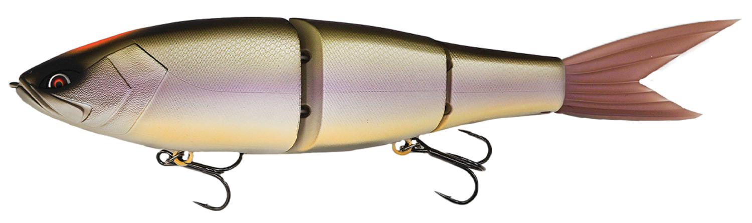 Swimbait Galapagos Grace 280F col. 18 Biwako Spec-V