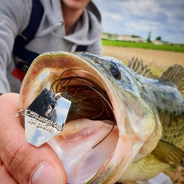Wirebaits Z-Man The Original Chatterbait 1/2 oz
