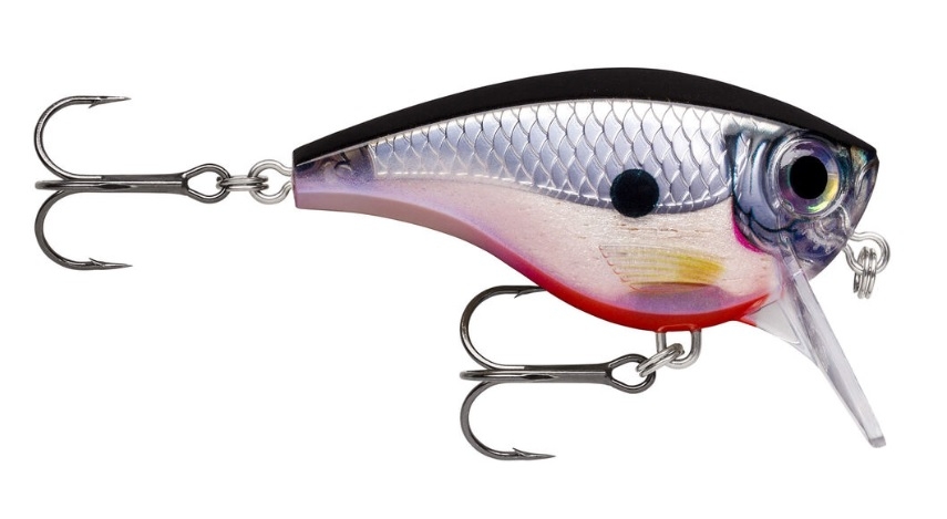 Crankbait Rapala BX Brat Big BXBB06-S