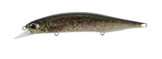 Realis Jerkbait 120 SP (Pike Limited) col. CCC3815 Brown Trout ND