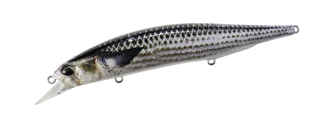 Realis Jerkbait 120 SP (SW Limited) col. DST0804 Mullet ND