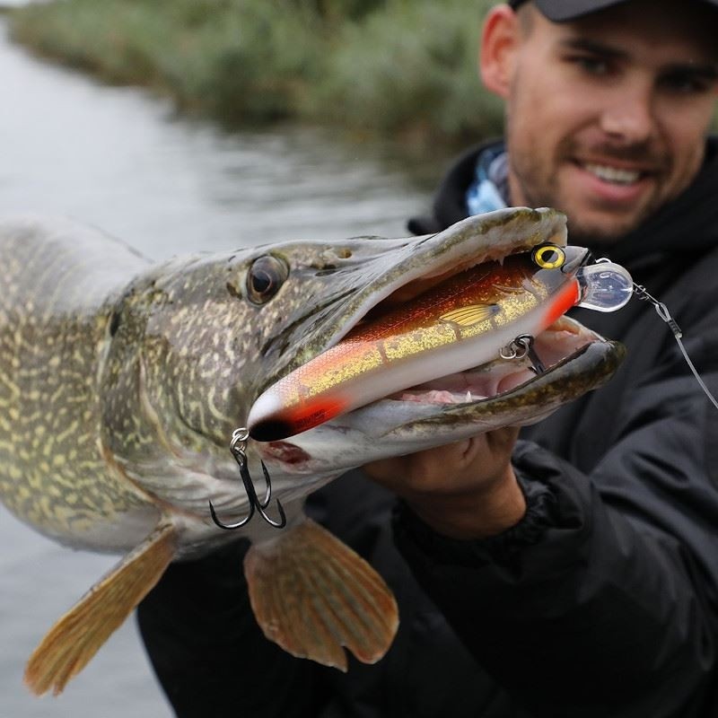 Minnow Abu Garcia Svartzonker Mc Celly 70
