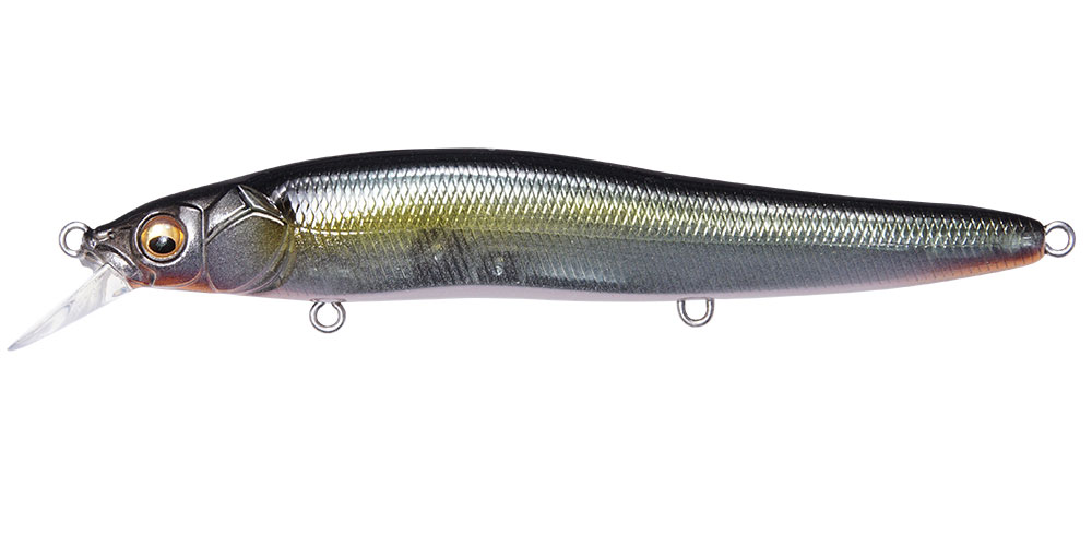 Jerkbait Megabass Oneten R col. Jukucho Shad