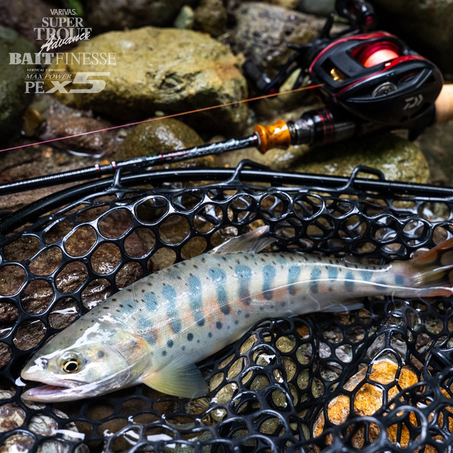 Treccia Varivas Super Trout Advance Baitfinesse Max Power X5