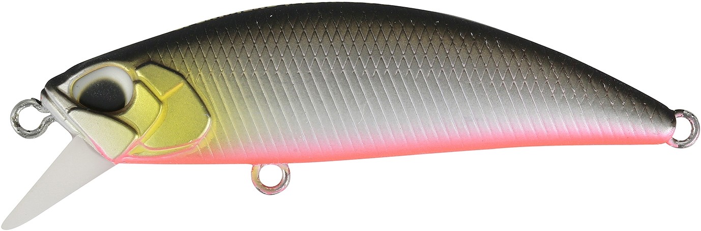Minnow Duo Ryuki 50 Sinking col. ASA4082 Mat Blck B RB Minnow Duo Ryuki 50 Sinking col. ASA4082 Mat Blck B RB
