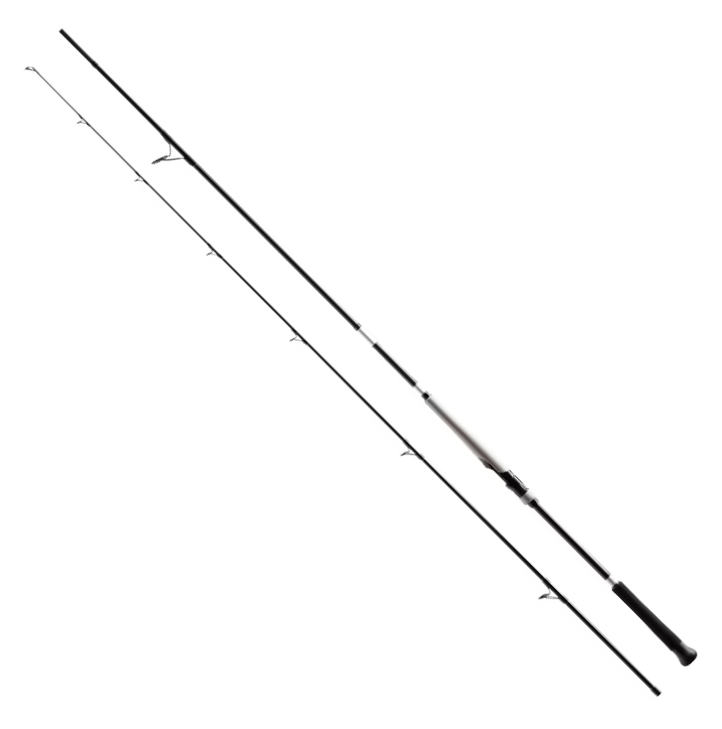Canna Shimano Bassterra XT+ A Shore Jigging