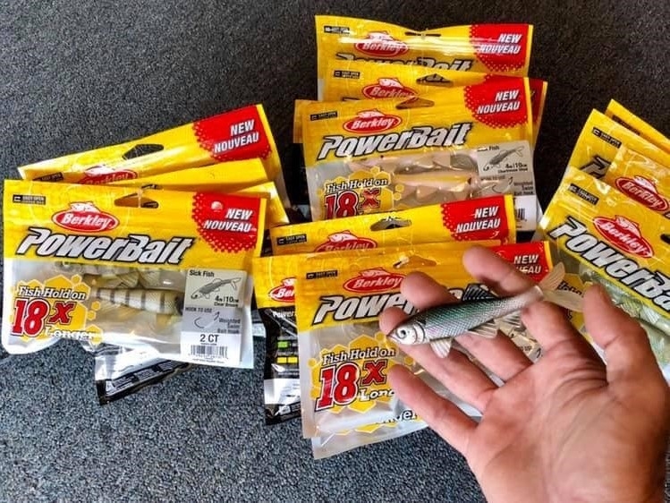 Shad Berkley PowerBait Sick Fish 4" 