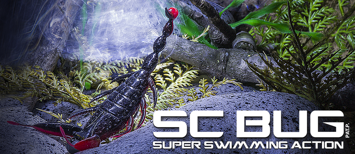 Scorpione Molix SC Bug 4"