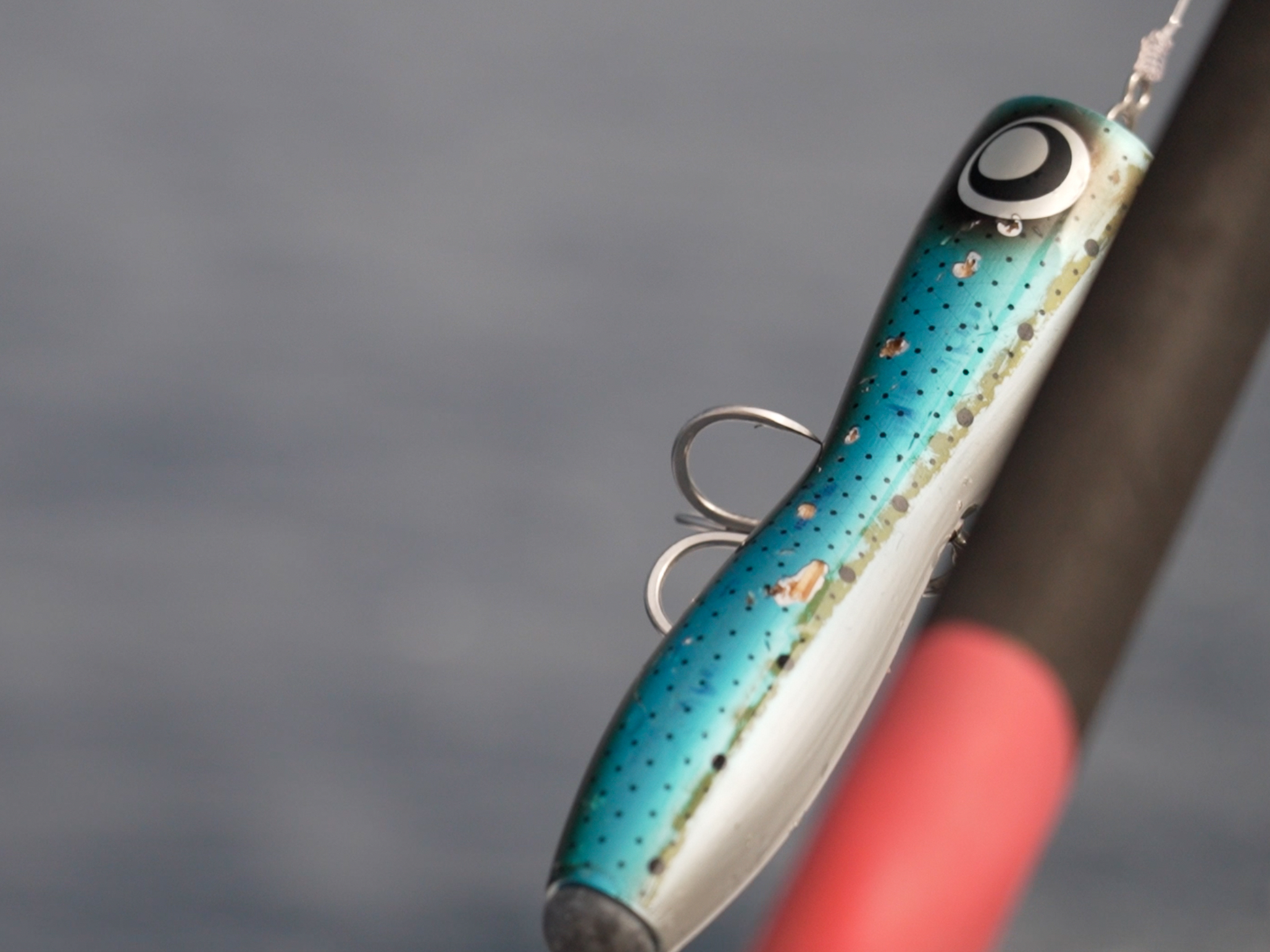 Popper Temple Reef Ballista 120 