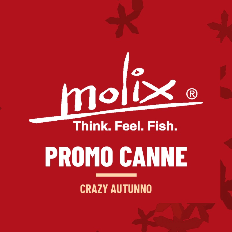 Promo canne Molix