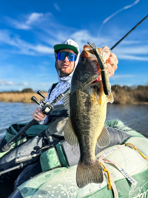 Swimbait Veeu Burno 160 Glide
